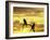 Silhouette of Frigate Birds on Tree Limb at Sunset, Galapagos Islands, Ecuador-Jim Zuckerman-Framed Photographic Print