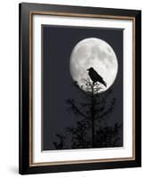 Silhouette of Hooded Crow (Corvus Cornix) Against Full Moon, Helsinki, Finland, December-Markus Varesvuo-Framed Photographic Print