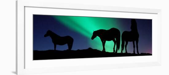 Silhouette of Horses at Dusk, Iceland-null-Framed Photographic Print