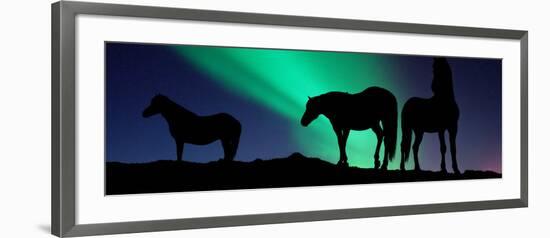 Silhouette of Horses at Dusk, Iceland-null-Framed Photographic Print