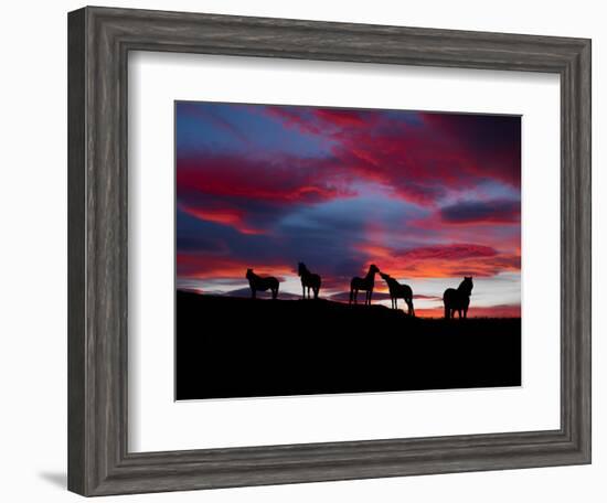 Silhouette of Horses at Night, Iceland-null-Framed Photographic Print