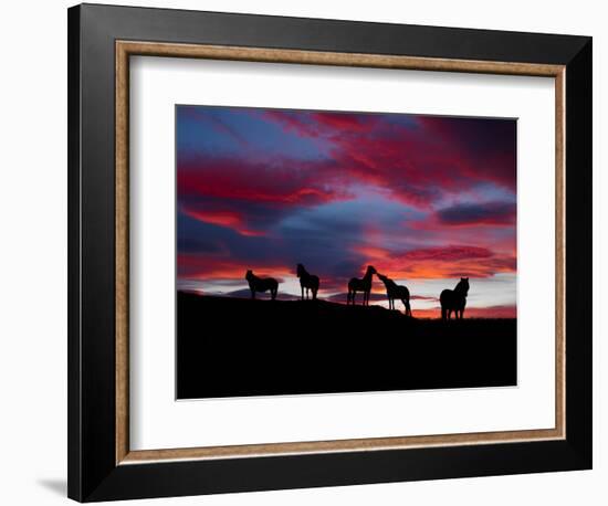 Silhouette of Horses at Night, Iceland-null-Framed Photographic Print