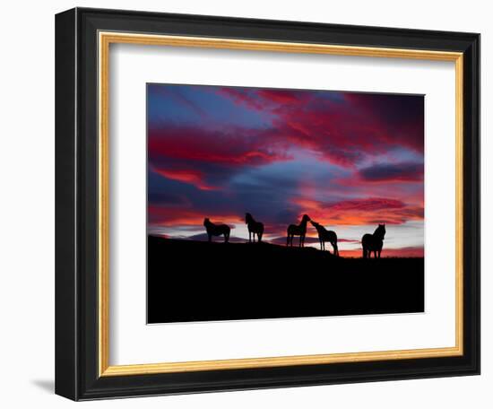 Silhouette of Horses at Night, Iceland-null-Framed Photographic Print