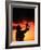 Silhouette of Hula Dancer on Waikiki Beach at Sunset, Waikiki, U.S.A.-Ann Cecil-Framed Photographic Print