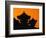 Silhouette of Japanese Temple-Charles O'Rear-Framed Photographic Print