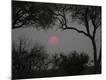 Premium Photographic Print