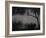 Silhouette of Leadwood Trees at Dusk, Linyanti Concession, Ngamiland, Botswana-null-Framed Photographic Print