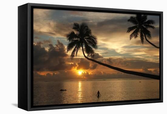 Silhouette of leaning palm trees and a woman at sunrise on Taveuni Island, Fiji, Pacific-Don Mammoser-Framed Premier Image Canvas