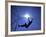Silhouette of Male Pole Vaulter-Steven Sutton-Framed Photographic Print
