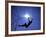 Silhouette of Male Pole Vaulter-Steven Sutton-Framed Photographic Print