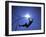 Silhouette of Male Pole Vaulter-Steven Sutton-Framed Photographic Print