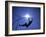 Silhouette of Male Pole Vaulter-Steven Sutton-Framed Photographic Print