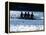 Silhouette of Men's Fours Rowing Team in Action, USA-null-Framed Premier Image Canvas