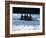 Silhouette of Men's Fours Rowing Team in Action, USA-null-Framed Photographic Print