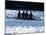 Silhouette of Men's Fours Rowing Team in Action, USA-null-Mounted Photographic Print