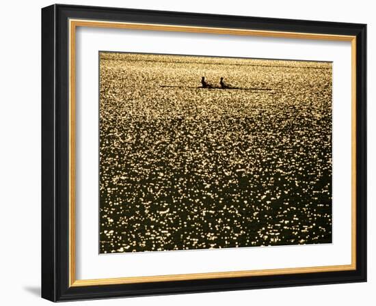 Silhouette of Men's Pairs Rowing Team in Action, Vancouver Lake, Georgia, USA-null-Framed Photographic Print