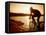 Silhouette of Mountain Biker at Sunset-null-Framed Premier Image Canvas