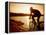 Silhouette of Mountain Biker at Sunset-null-Framed Premier Image Canvas