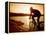 Silhouette of Mountain Biker at Sunset-null-Framed Premier Image Canvas