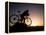 Silhouette of Mountain Biker at the Summit During Sunrise-null-Framed Premier Image Canvas