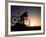 Silhouette of Mountain Biker at the Summit During Sunrise-null-Framed Photographic Print