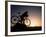 Silhouette of Mountain Biker at the Summit During Sunrise-null-Framed Photographic Print