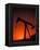 Silhouette of Oil Pump Jack, Tulsa, Oklahoma-Bill Bachmann-Framed Premier Image Canvas