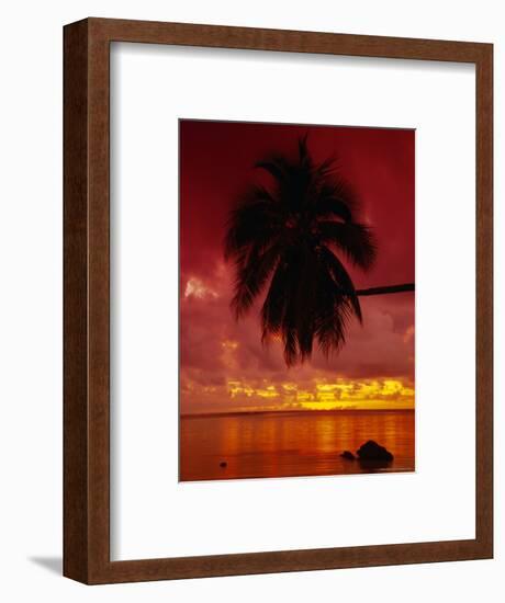 Silhouette of Overhanging Palm Tree, Colourful Sunset, Aitutaki, Cook Islands, Polynesia-D H Webster-Framed Photographic Print