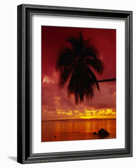 Silhouette of Overhanging Palm Tree, Colourful Sunset, Aitutaki, Cook Islands, Polynesia-D H Webster-Framed Photographic Print