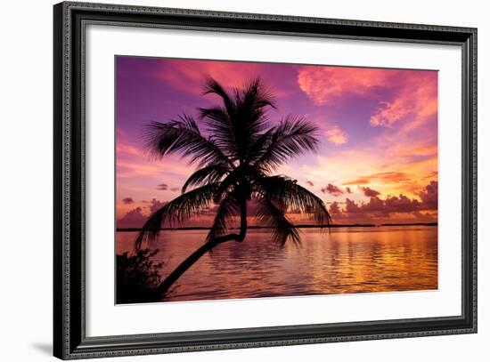 Silhouette of Palm Tree at Sunset-Philippe Hugonnard-Framed Photographic Print