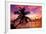 Silhouette of Palm Tree at Sunset-Philippe Hugonnard-Framed Photographic Print