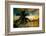 Silhouette of Palm Tree at Sunset-Philippe Hugonnard-Framed Photographic Print