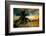 Silhouette of Palm Tree at Sunset-Philippe Hugonnard-Framed Photographic Print