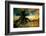 Silhouette of Palm Tree at Sunset-Philippe Hugonnard-Framed Photographic Print