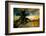 Silhouette of Palm Tree at Sunset-Philippe Hugonnard-Framed Photographic Print