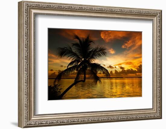 Silhouette of Palm Tree at Sunset-Philippe Hugonnard-Framed Photographic Print