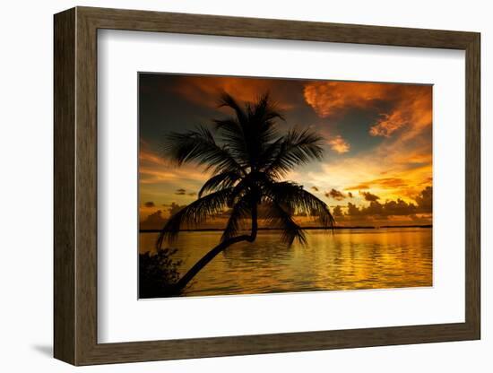 Silhouette of Palm Tree at Sunset-Philippe Hugonnard-Framed Photographic Print