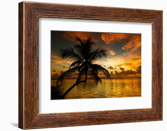 Silhouette of Palm Tree at Sunset-Philippe Hugonnard-Framed Photographic Print