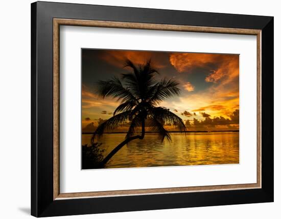 Silhouette of Palm Tree at Sunset-Philippe Hugonnard-Framed Photographic Print