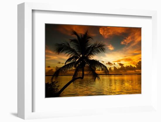 Silhouette of Palm Tree at Sunset-Philippe Hugonnard-Framed Photographic Print