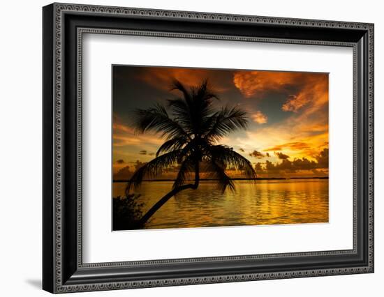 Silhouette of Palm Tree at Sunset-Philippe Hugonnard-Framed Photographic Print