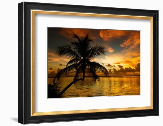 Silhouette of Palm Tree at Sunset-Philippe Hugonnard-Framed Photographic Print