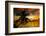 Silhouette of Palm Tree at Sunset-Philippe Hugonnard-Framed Photographic Print