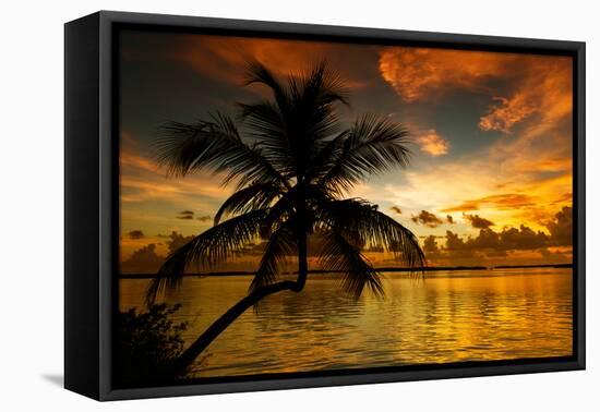 Silhouette of Palm Tree at Sunset-Philippe Hugonnard-Framed Premier Image Canvas