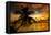 Silhouette of Palm Tree at Sunset-Philippe Hugonnard-Framed Premier Image Canvas