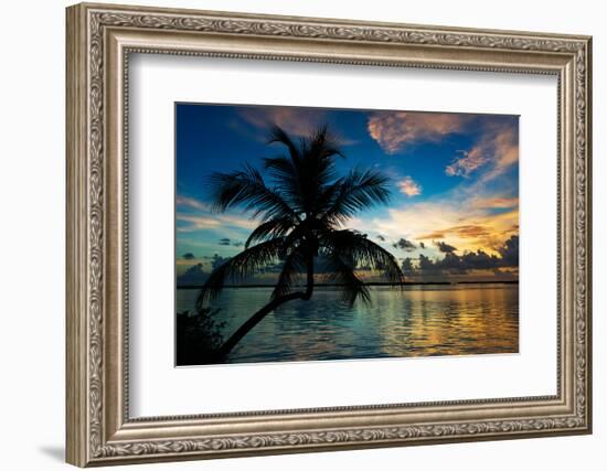 Silhouette of Palm Tree at Sunset-Philippe Hugonnard-Framed Photographic Print