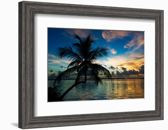 Silhouette of Palm Tree at Sunset-Philippe Hugonnard-Framed Photographic Print