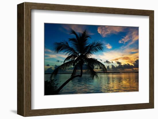Silhouette of Palm Tree at Sunset-Philippe Hugonnard-Framed Photographic Print