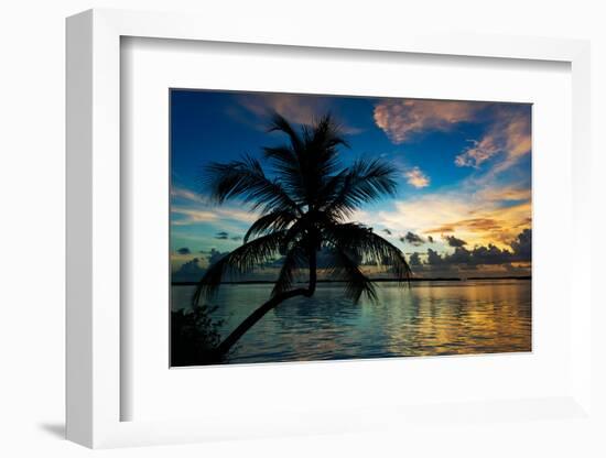 Silhouette of Palm Tree at Sunset-Philippe Hugonnard-Framed Photographic Print