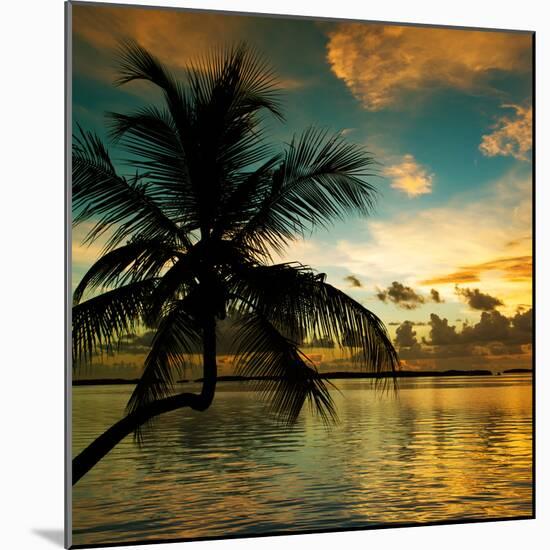 Silhouette of Palm Tree at Sunset-Philippe Hugonnard-Mounted Photographic Print